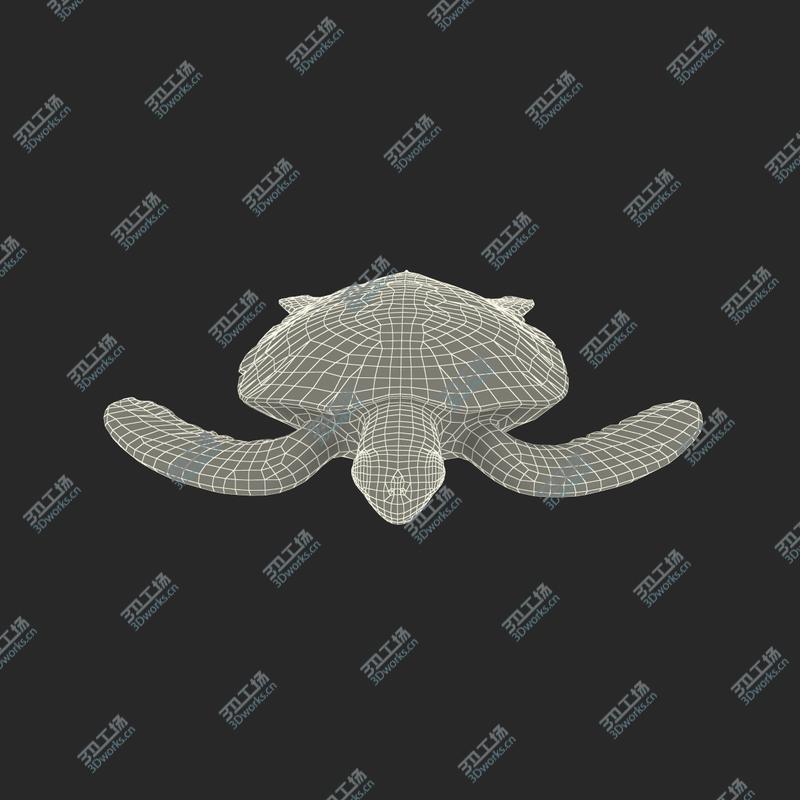 images/goods_img/20210313/Sea Turtle Rigged for Cinema 4D/4.jpg